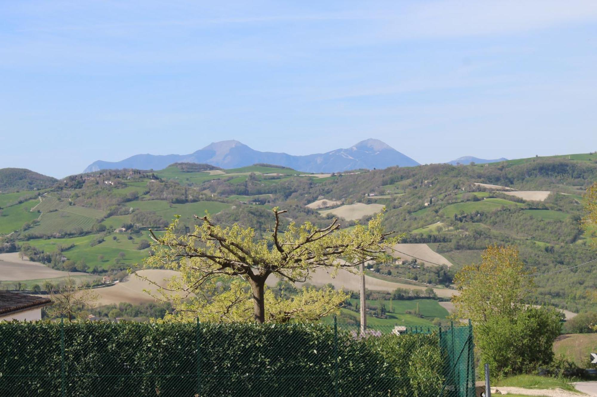 Villa Casa Borgo Fonte Castelleone di Suasa Esterno foto