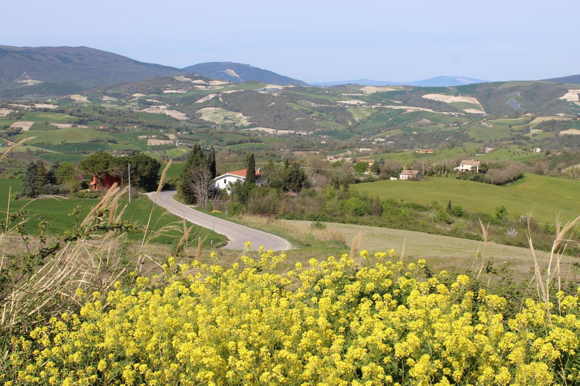 Villa Casa Borgo Fonte Castelleone di Suasa Esterno foto